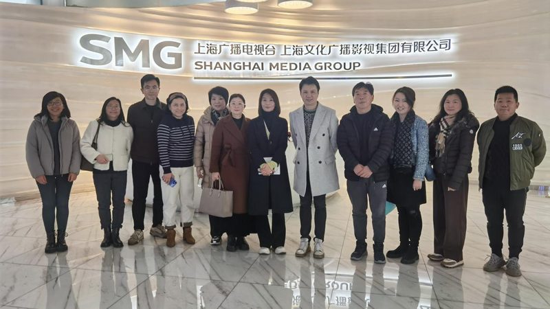 mg动画定制案例哪家好